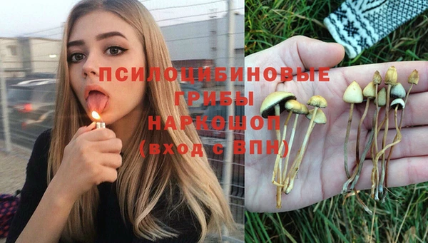 прущая мука Гусиноозёрск