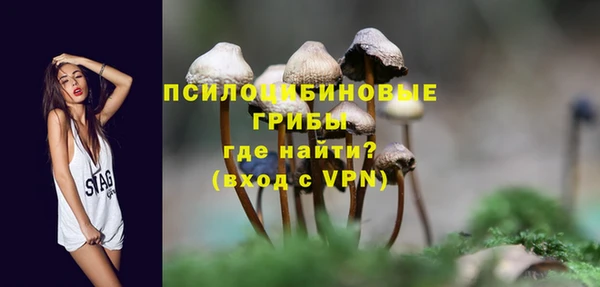 стафф Гусь-Хрустальный