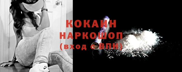 эйфоретик Гусев