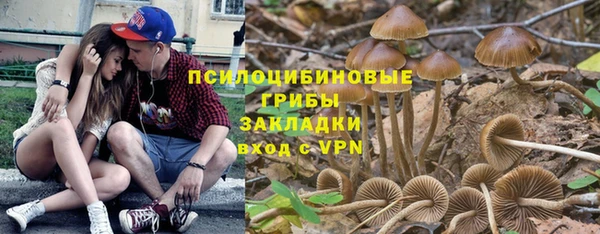 эйфоретик Гусев