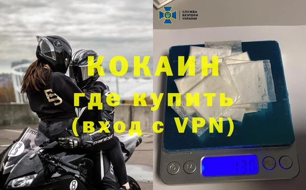 сатива Ахтубинск