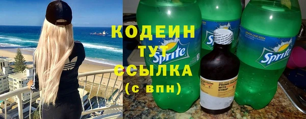 эйфоретик Гусев