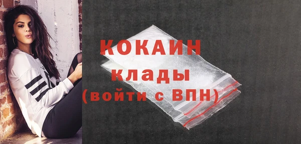 эйфоретик Гусев