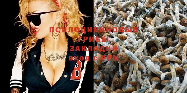 стафф Гусь-Хрустальный