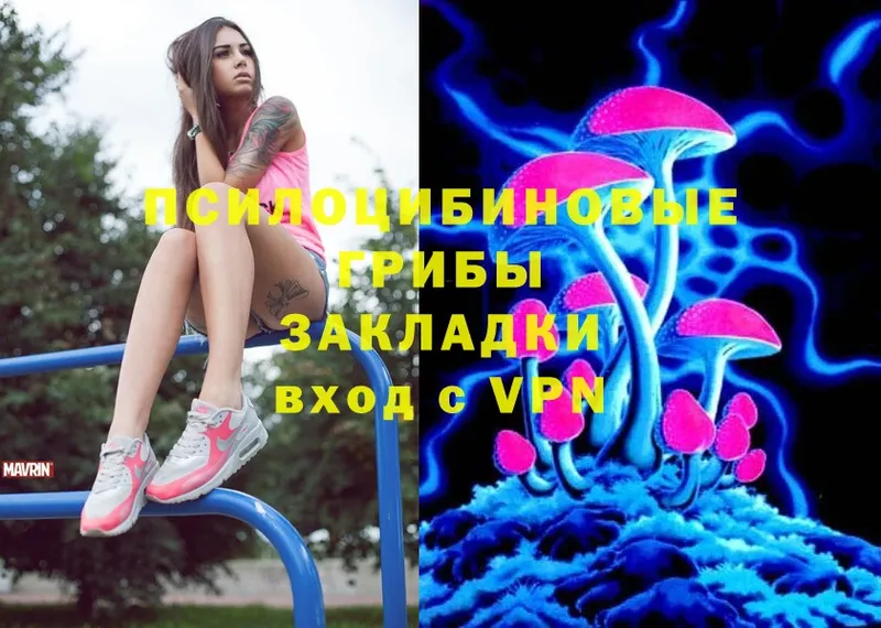 Галлюциногенные грибы Psilocybe Енисейск